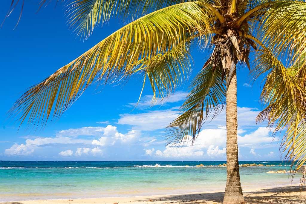 Melia Braco Village Trelawny Natur foto